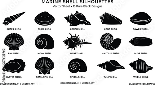 Photos Marine Shell Silhouettes and Seashell Icon Set