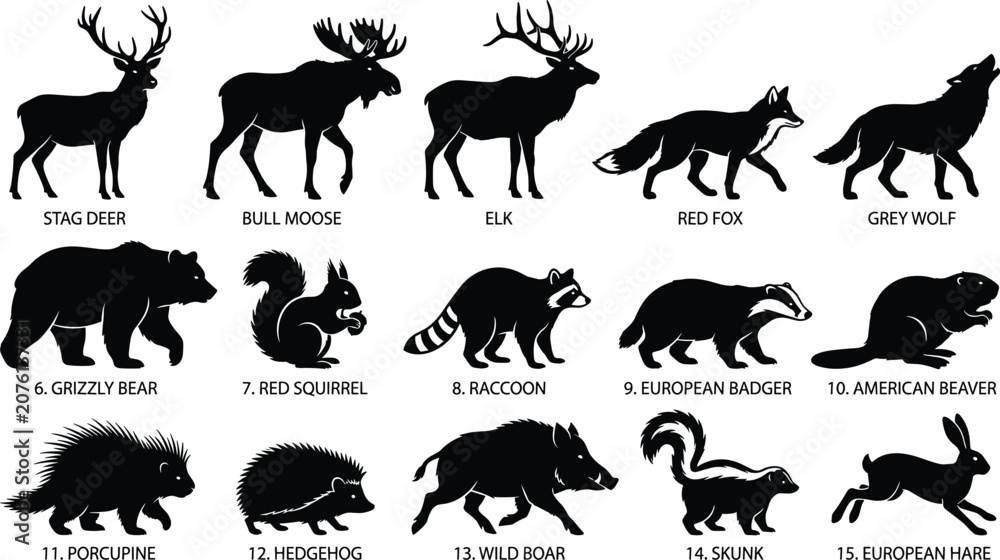 Fototapeta premium Forest Animals and Wildlife Silhouette Collection