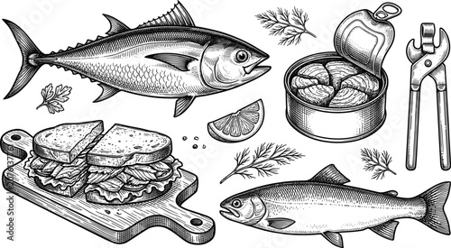 Vintage Canned Tuna Fish Vector Set Featuring Whole Salmon Tuna Sandwich on Cutting Board Open Tin Can Herb Dill and Can Opener Engraving Elements