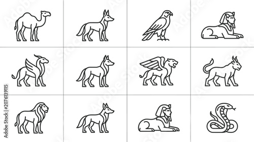 Photography Collection of various wild animals icons.