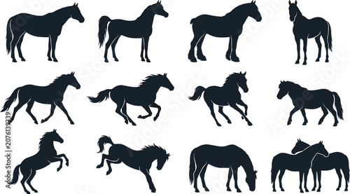 Tableau sur toile Equestrian Horse Silhouette Icon Set Vector Featuring Diverse Breeds in Standing