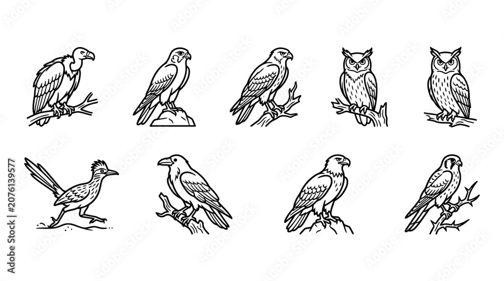 Obraz premium Collection of various bird species.