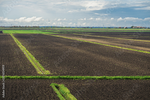 rural landscape inside the Polesine area, Venice province, Italy