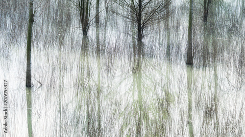 Canvastavla abstraction of trees reflected in a ditch on the banks of the Po River, Castelma