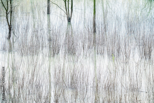 Canvastavla abstraction of trees reflected in a ditch on the banks of the Po River, Castelma
