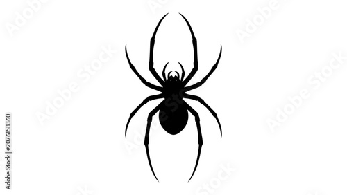 Photos Silhouette of a Black Widow Spider: A stark, black silhouette of a Black Widow spider with its distinctive hourglass marking, presented against a clean, white background