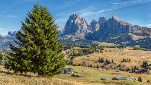 Seceda mountain range with alpine meadows and evergreen tree in the Dolomites, Italy