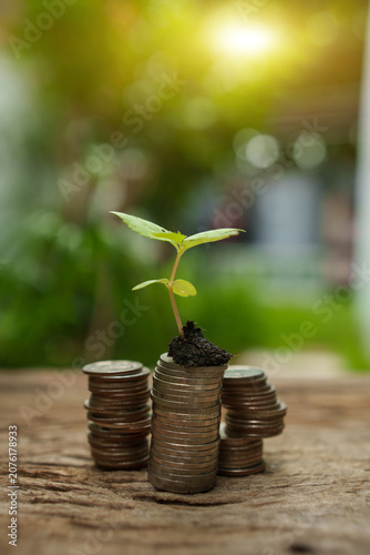 Financial Growth and Sustainable Savings