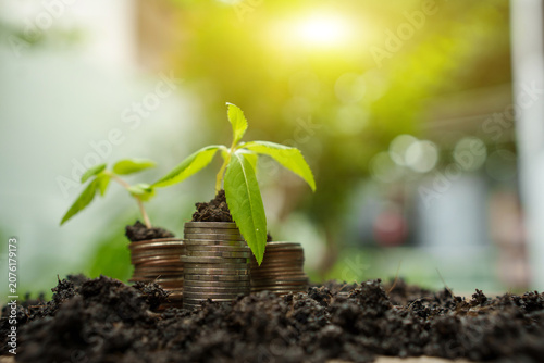 A small green seedling is growing on a stack of coins resting on fertile soil.

