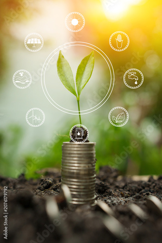 Green Investment Growth in Sustainable Technology and Agriculture