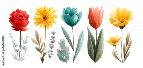Vibrant Assortment of Colorful Isolated Flowers on Transparent Background
