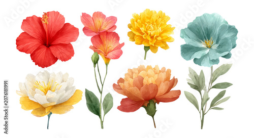 Vibrant Floral Collection with Various Flowers on Transparent Background