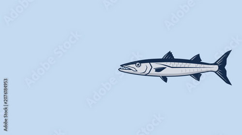 Fotografie Barracuda flat vector illustration with sleek predatory ocean fish on soft blue background, minimal marine wildlife design with negative space for banner, poster, web, and print