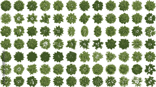 Foto Green Tree Top View Plan Symbols Vector Illustration for Landscape Design, Archi