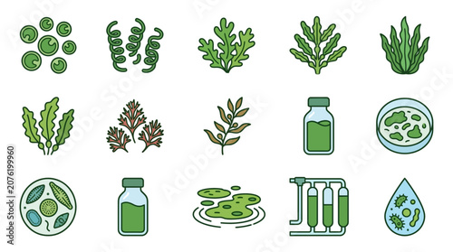 Algae Icons Set: Microalgae, Seaweed, Spirulina, Chlorella, Phytoplankton