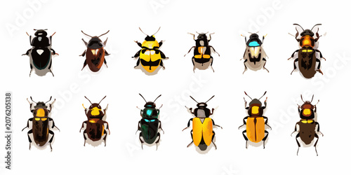 Canvastavla Ten Bee Specimens Vector Illustration On White Background