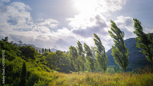 Photos Completely reclaimed green landscape of a former quarry after successful human r
