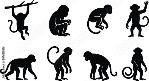 Monkey Silhouettes In Various Poses Black Vector Illustration On White Background