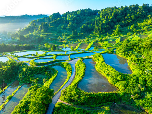 星峠の棚田（新潟県十日町市）