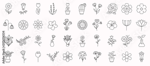Flower line icon set. Rose, floral, tulip, vase, spring blossom and cactus minimal vector illustration.