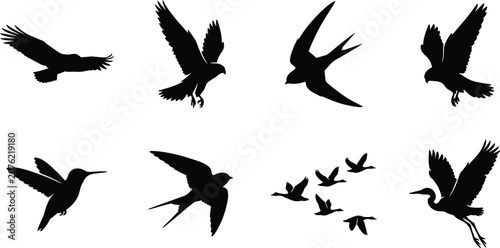 Fotografía Vector silhouettes of flying birds including eagle hummingbird swallow crane and