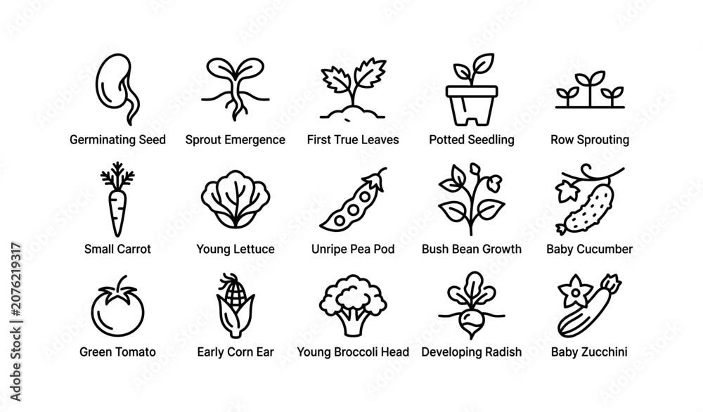 Fototapeta premium Vegetable growth and produce icons arranged in grid layout