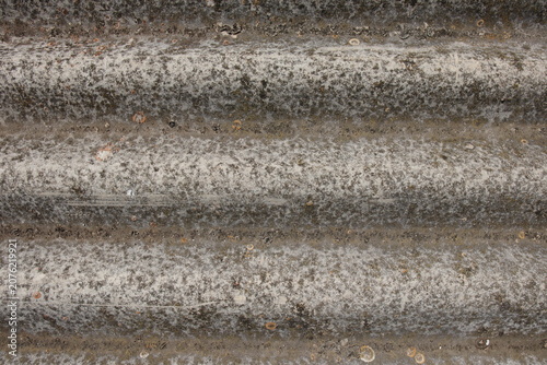Texture of old weathered grey corrugated asbestos roofing slate with moss