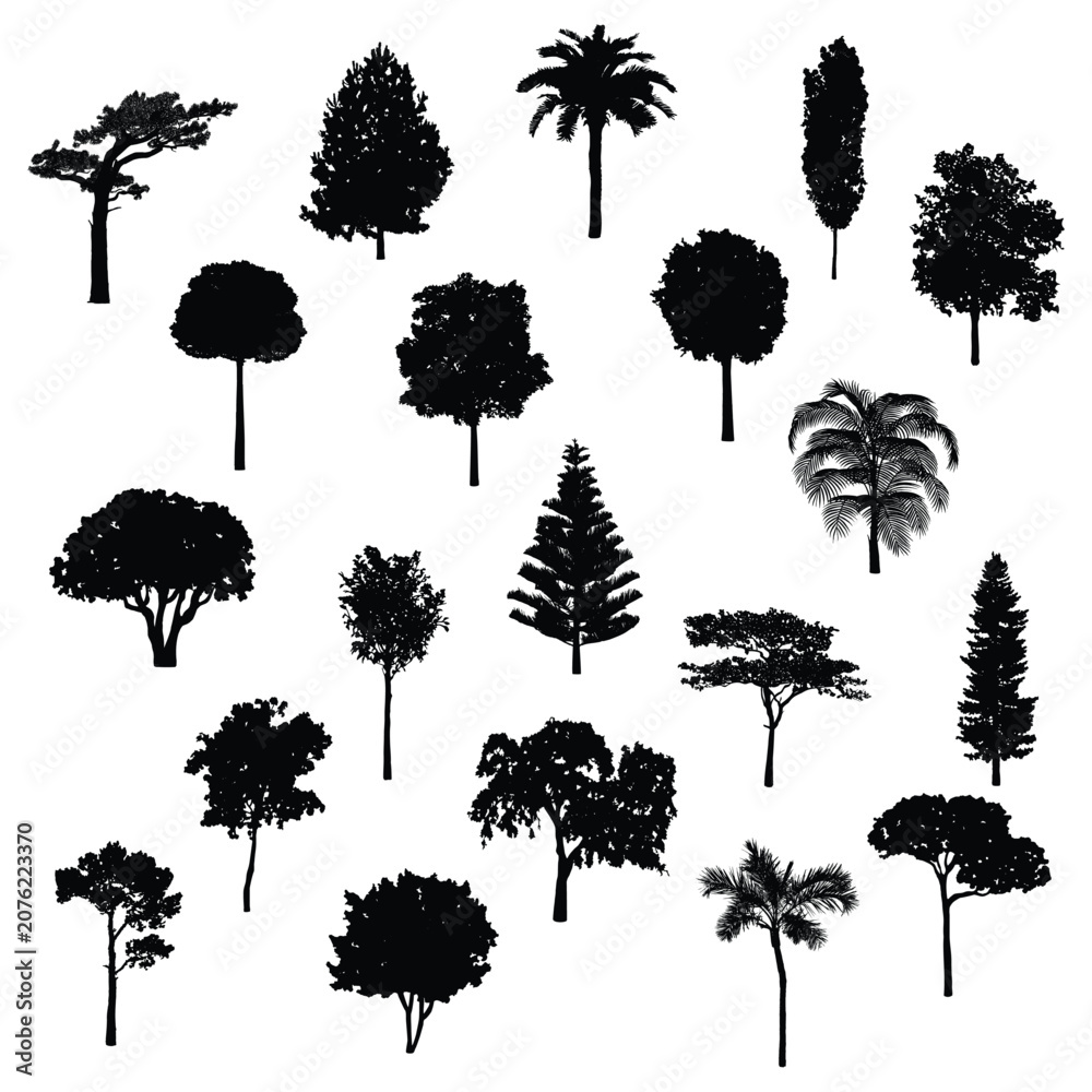 Fototapeta premium Set of Tree Silhouettes Vector Collection with Oak Pine Palm Birch and Tropical Trees for Nature Forest Landscape Design Illustration