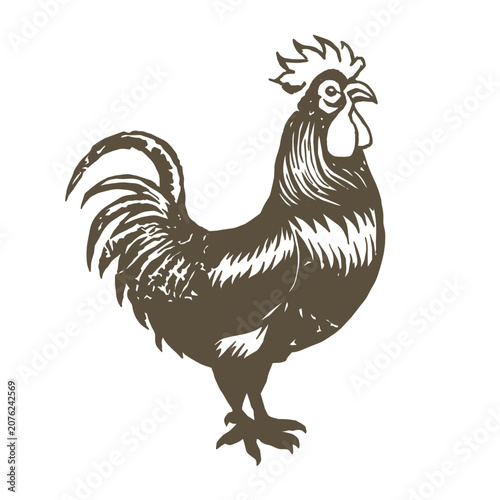 Fotografía Black and white illustration of fighting roosters
