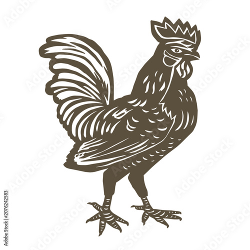 Fotografie Black and white illustration of fighting roosters