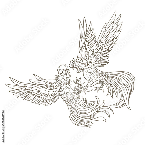Canvas Print Black and white illustration of fighting roosters