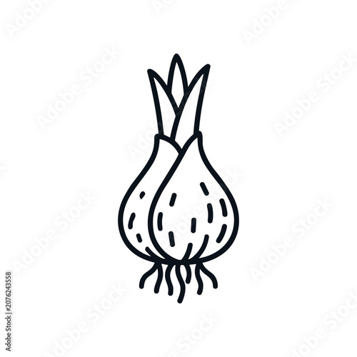 Foto Onion Bulb with Green Sprouts Growing.