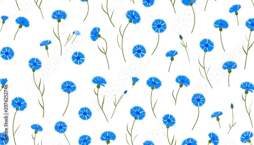 Seamless pattern with blue cornflowers on a white background