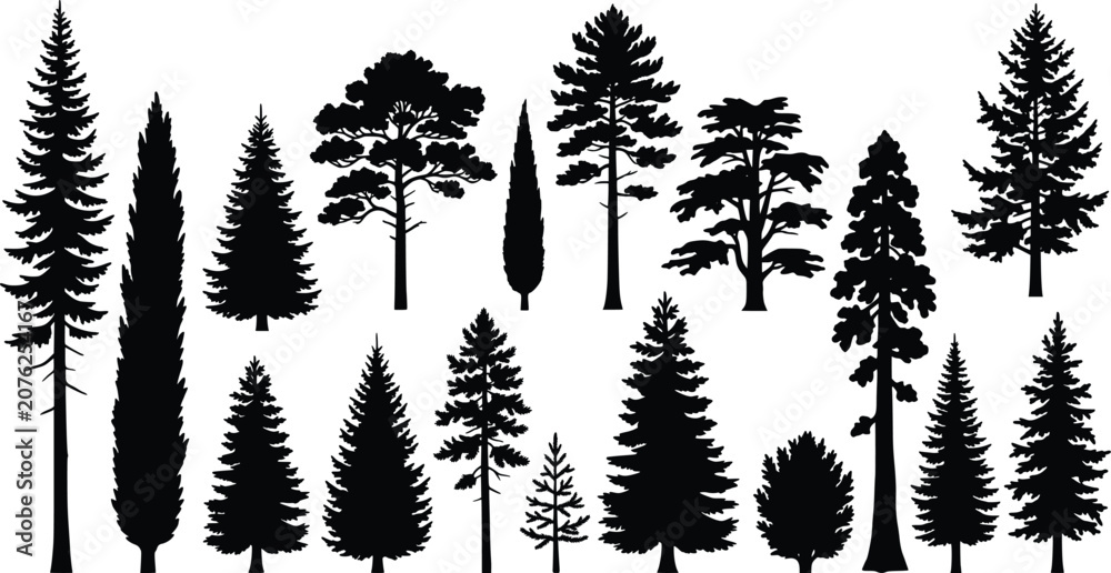 Fototapeta premium Coniferous tree silhouettes collection, black evergreen forest pine and spruce vector elements, 16 botanical wood icons for landscape design