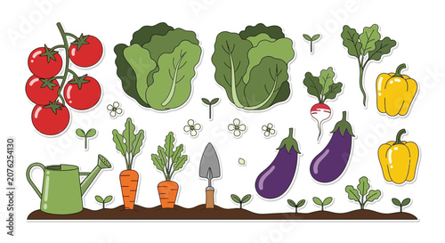 Vector illustration of fresh vegetables and gardening tools for home agriculture concept