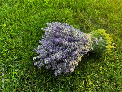 Bouquet of Fresh Lavender Flowers Lying on Vibrant Green Grass