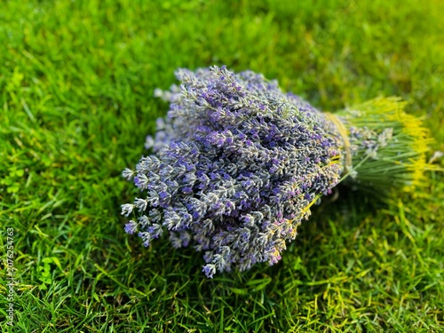 Bouquet of Fresh Lavender Flowers Lying on Vibrant Green Grass