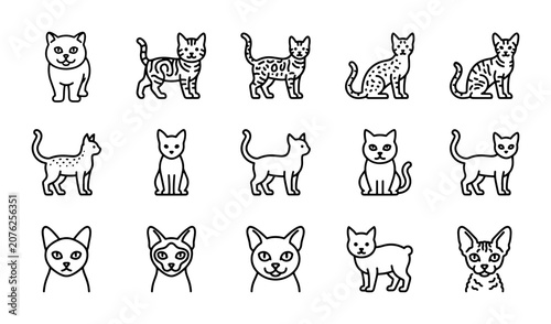 Cute Cat Icons, Vector Set: Adorable Feline Illustrations for Pet Lovers and Animal Graphics