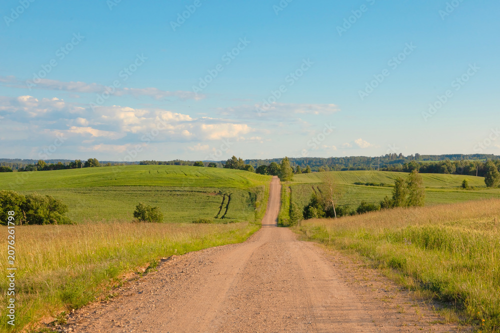 Fototapeta premium Country road through green fields under blue summer sky. Peaceful rural landscape with rolling hills and farmland.