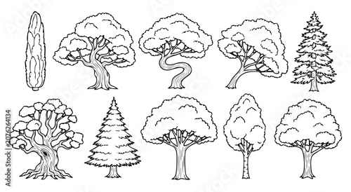 Tableau sur toile Collection of hand drawn nature forest tree vector illustration set for professi