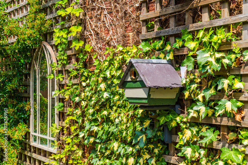 Wooden birdhouse mounted on weathered wall covered with lush greenery - selective focus