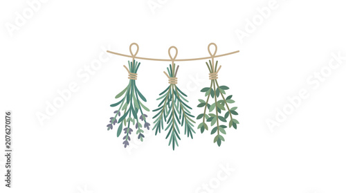 Herbs drying on a string, watercolor illustration