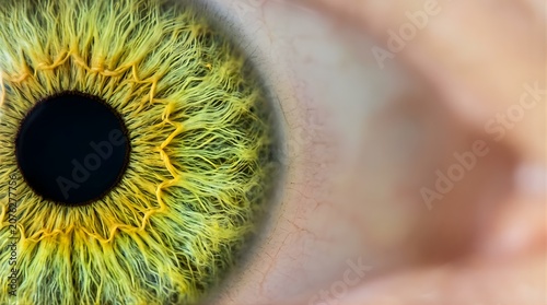 Extreme macro close-up of human yellow green eye with pupil and iris details