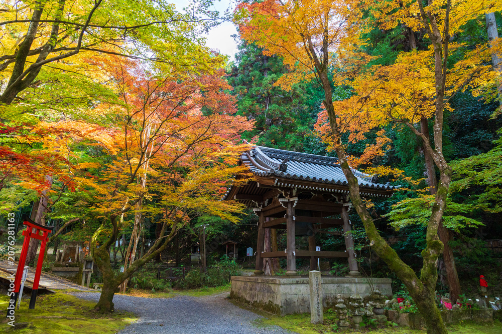 Obraz premium 日本の風景・秋 京都 紅葉の今熊野観音寺