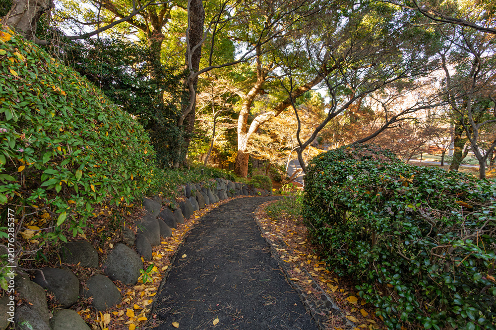 Fototapeta premium Quiet walkway in the Imperial Palace East Gardens with beautiful stonework and fallen leaves December 2023