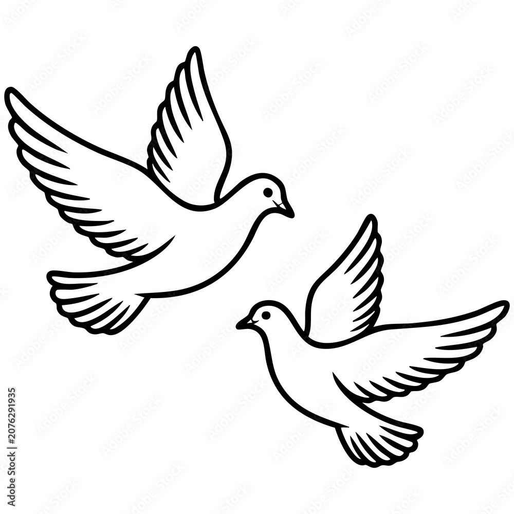 Obraz premium Graceful Twin Doves In Flight Featuring Delicate Feather Details And Modern Linework Isolated on a Transparent or White Background