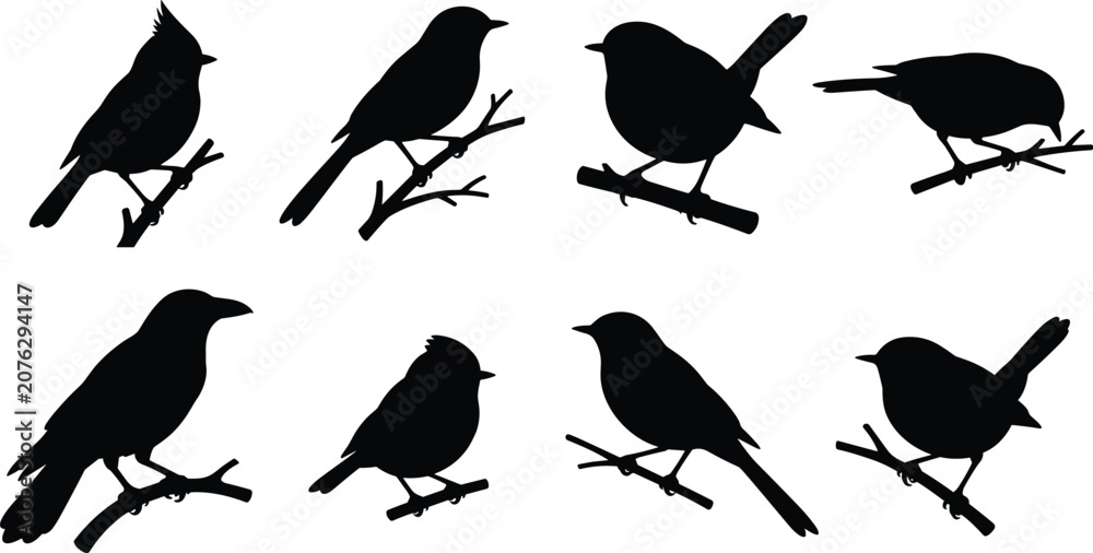 Fototapeta premium WebSet of various black bird silhouettes on tree branches for nature graphic design and wildlife illustration elements