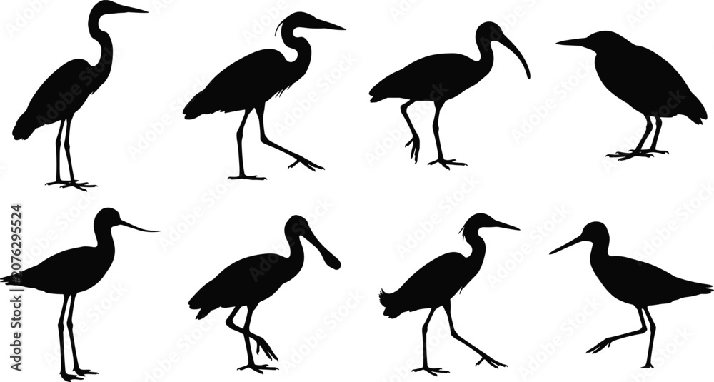 Obraz premium WebSet of eight wading bird silhouettes including herons egrets and ibis for nature and wildlife design projects