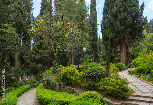 Foto Landscaped park with cypress trees and well-maintained pathways in Yalta, Crimea