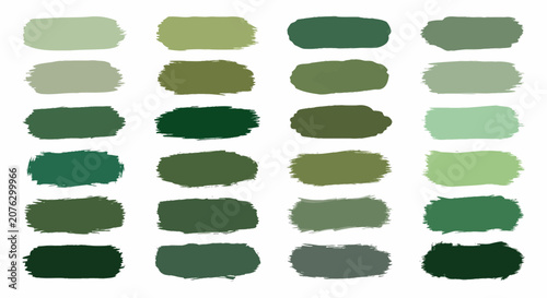 Green color palette, shades of green, color swatches, vector graphics, design elements